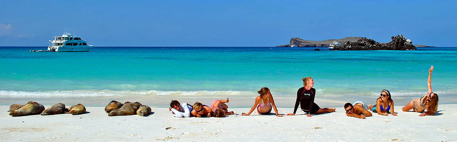  Students are lying on the beach next to seals. There is a boat in the background and they are looking away from the camera.